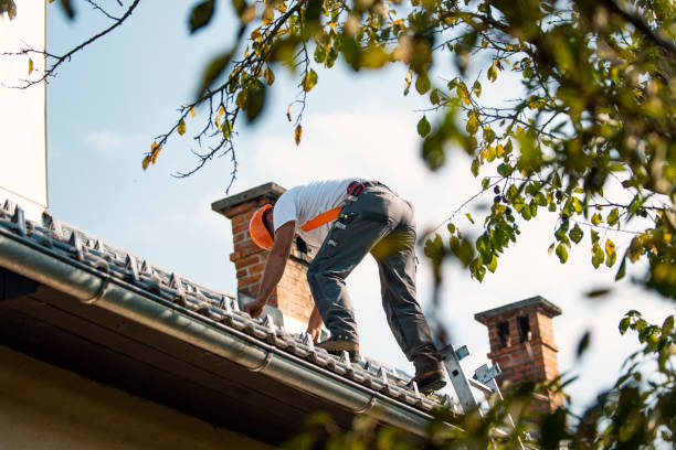 Residential Roof Replacement in Woodside East, DE