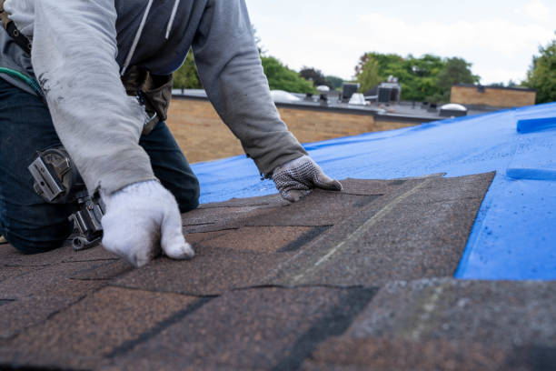 Best Local Roofing Companies  in Woodsi East, DE